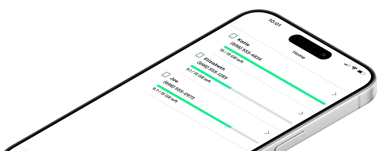 A phone lying flat, its screen listing three family lines with their data remaining