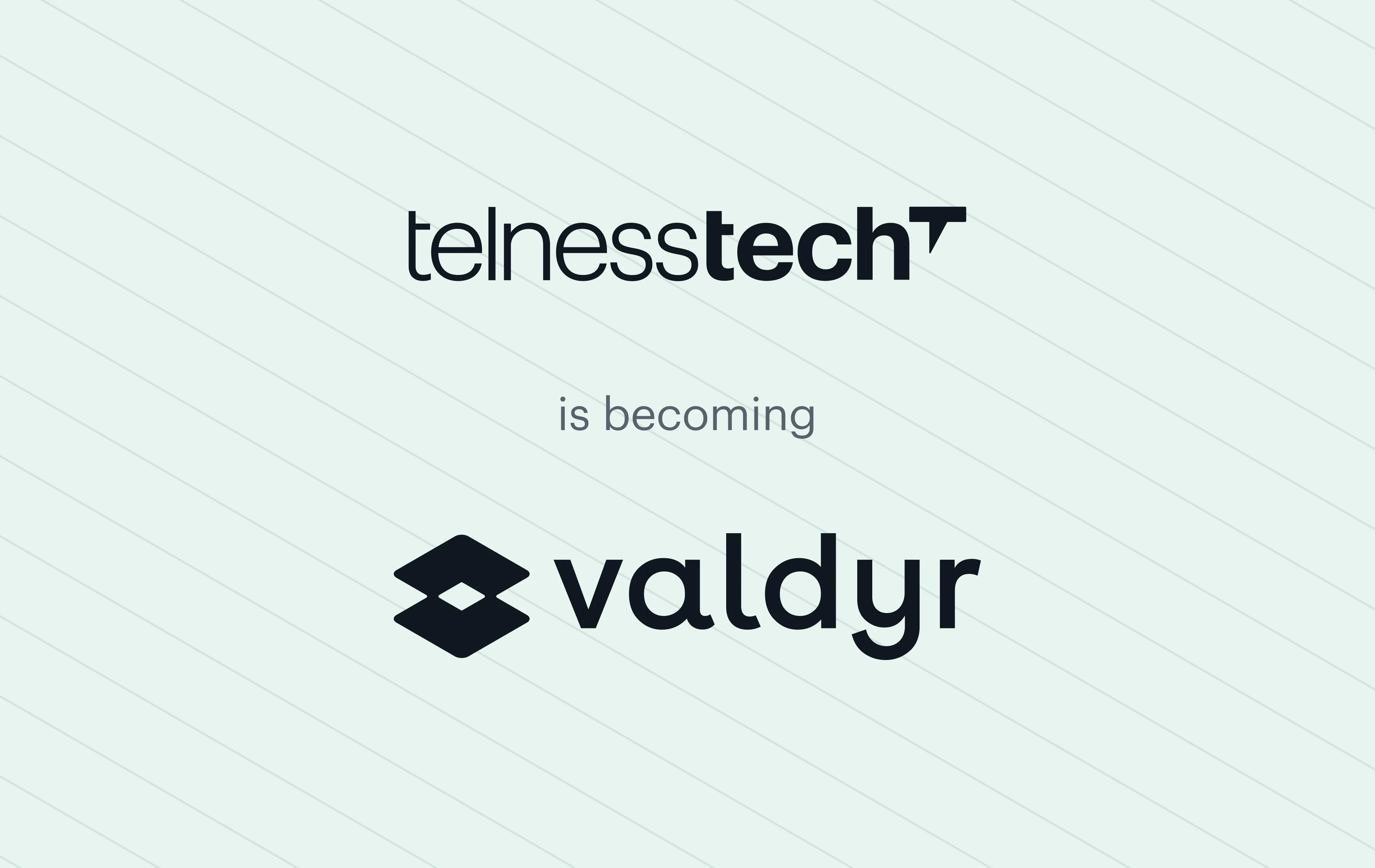Telness Tech is becoming Valdyr